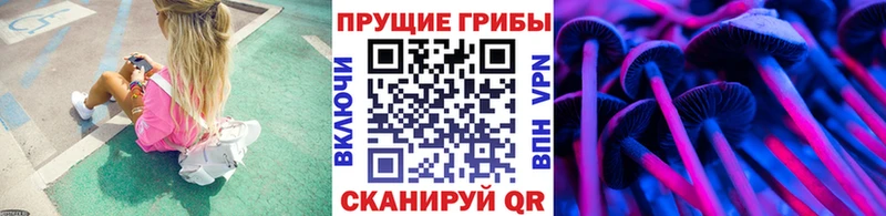 Галлюциногенные грибы Psilocybine cubensis  blacksprut tor  Верхнеуральск 